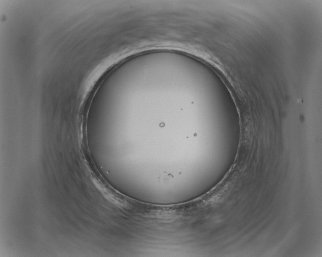 X0000067331511200604131648