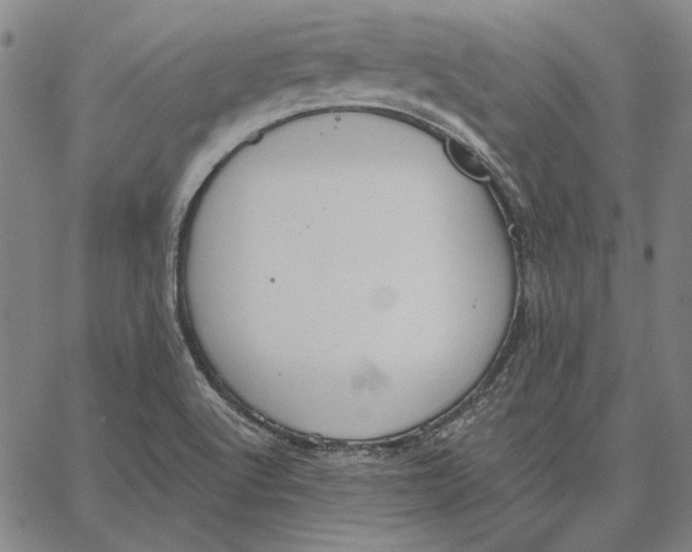 X0000067331512200604131648