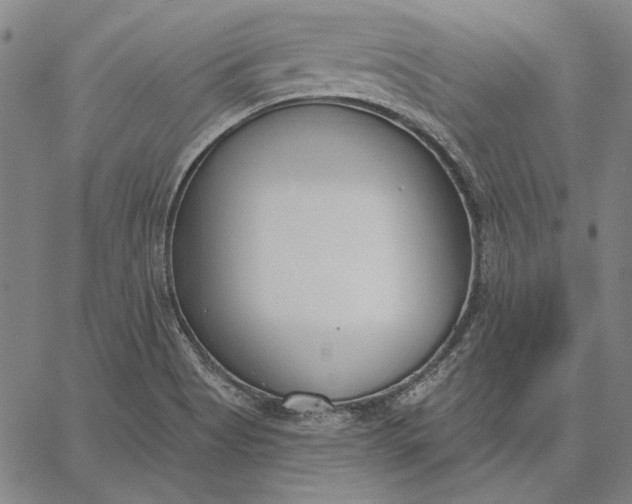 X0000067331513200604131648