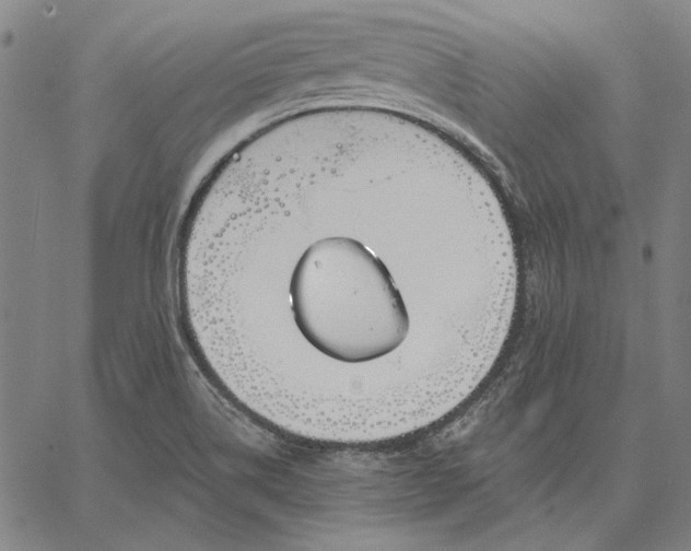 X0000067331514200604131648