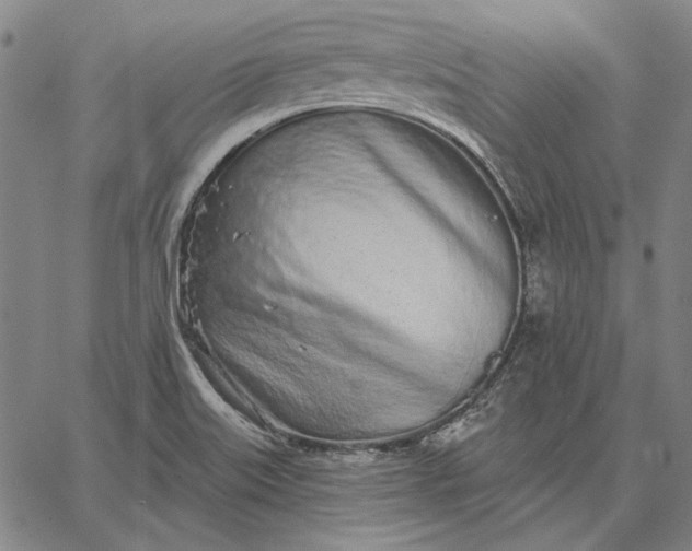 X0000067331515200604131648