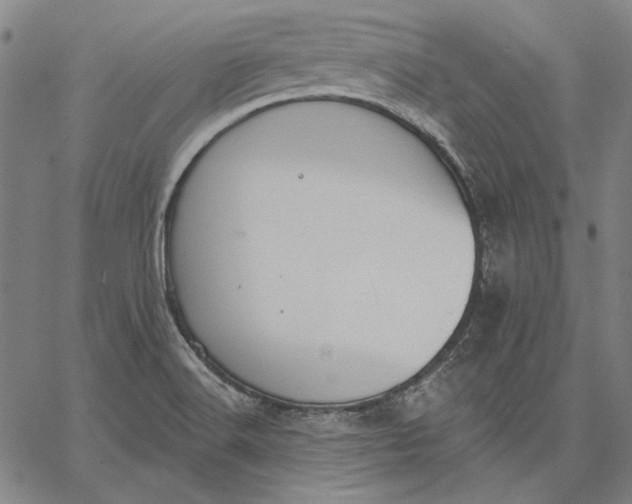 X0000067331516200604131648