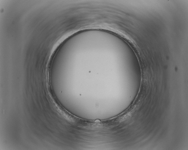 X0000067331517200604131648