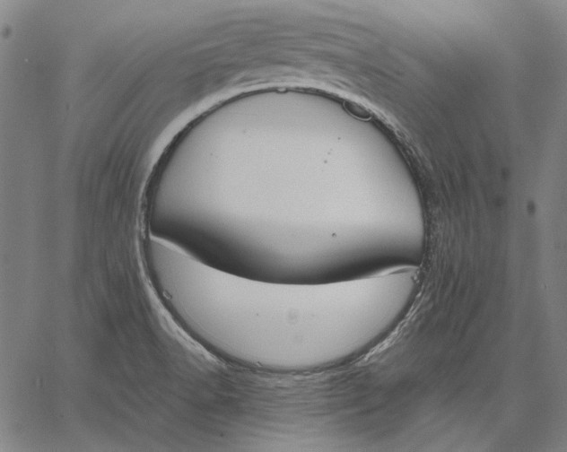 X0000067331518200604131648