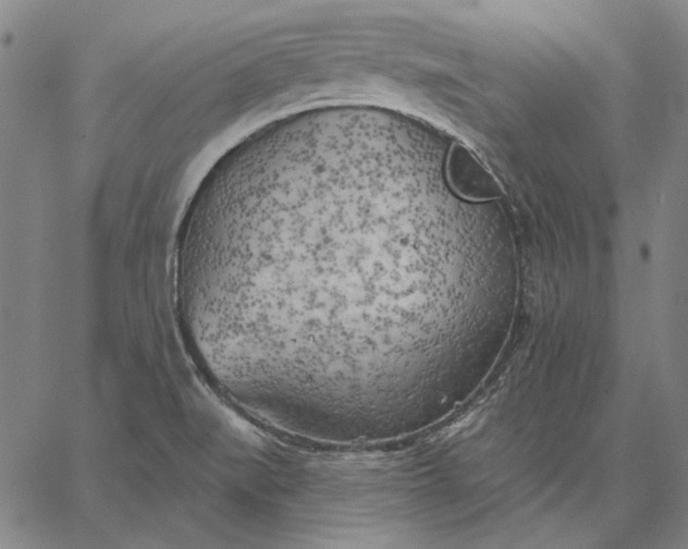 X0000067331519200604131648