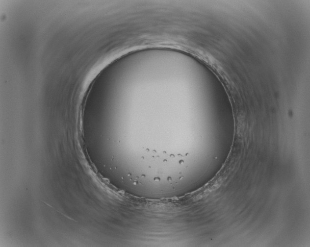 X0000067331520200604131648