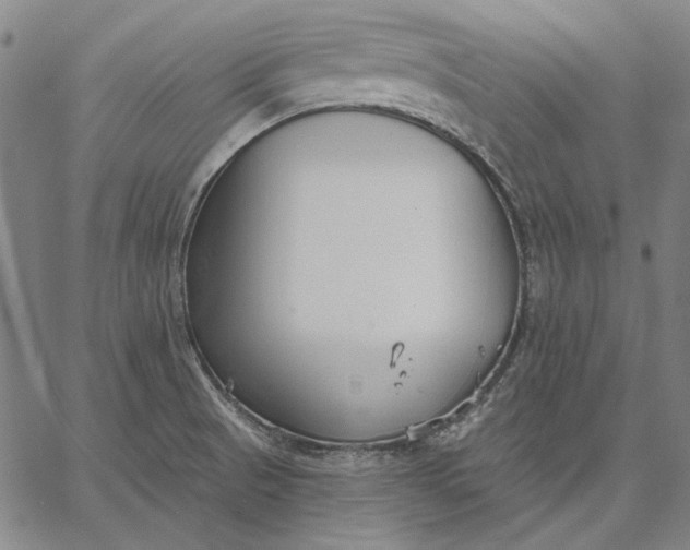 X0000067331521200604131648