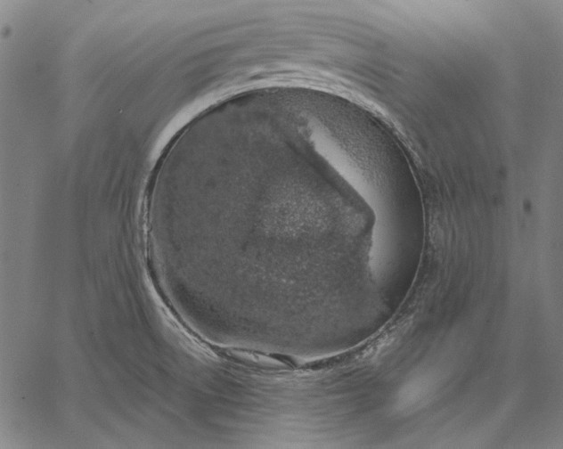 X0000067331522200604131648