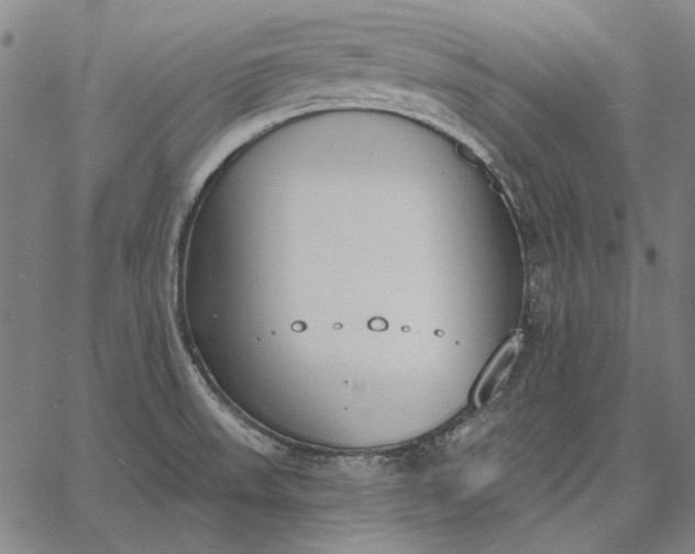 X0000067331523200604131648