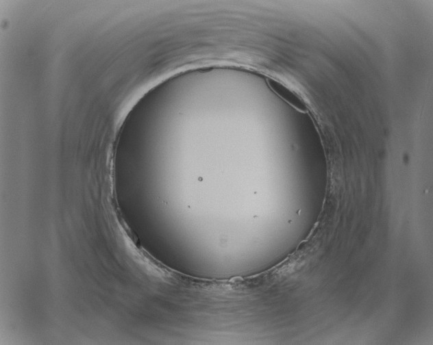 X0000067331524200604131648