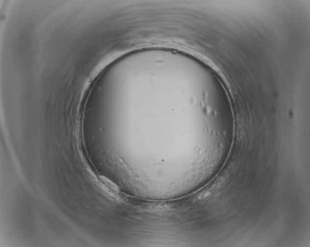 X0000067331525200604131648