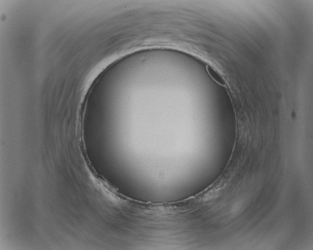 X0000067331527200604131648