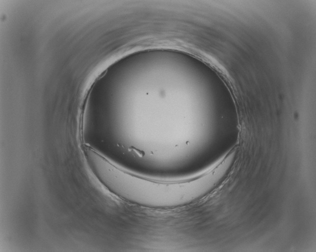 X0000067331528200604131648