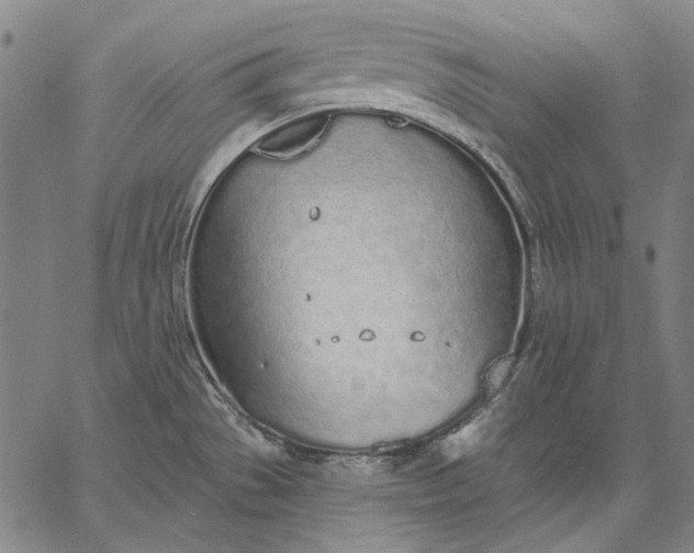 X0000067331529200604131648