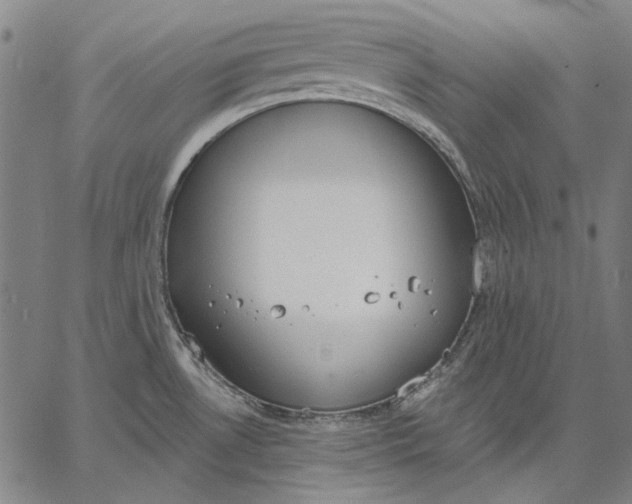 X0000067331530200604131648