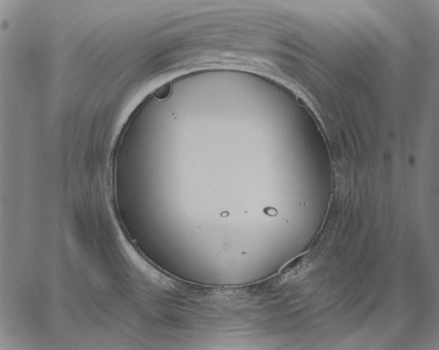 X0000067331531200604131648