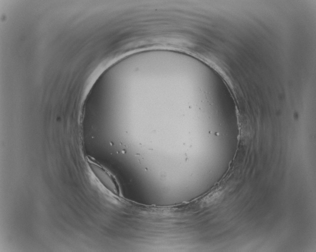 X0000067331532200604131648