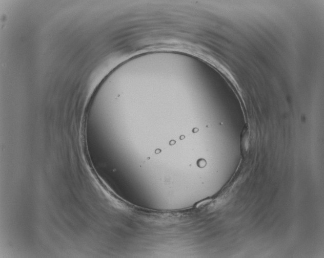 X0000067331533200604131648