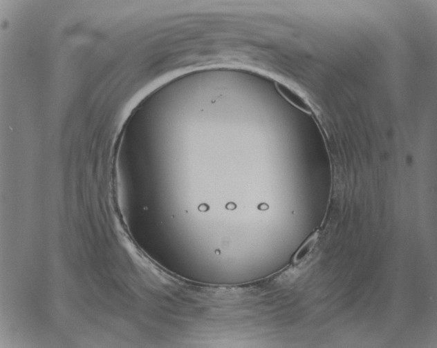 X0000067331534200604131648