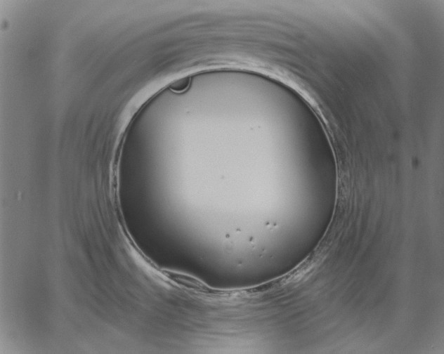 X0000067331535200604131648