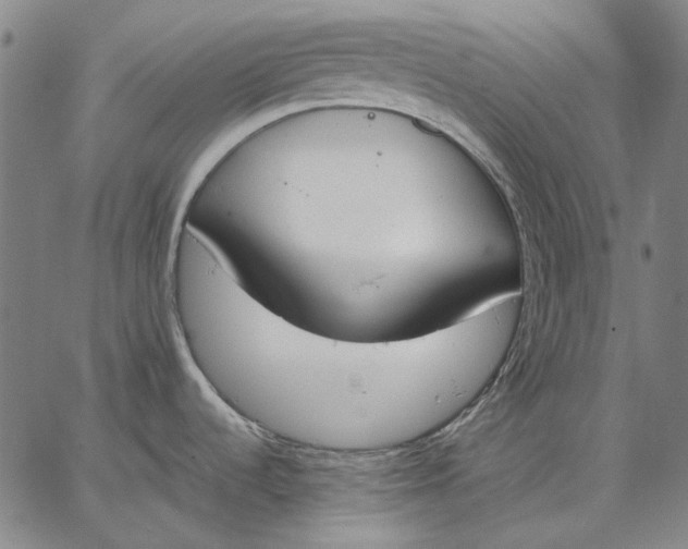 X0000067331536200604131648