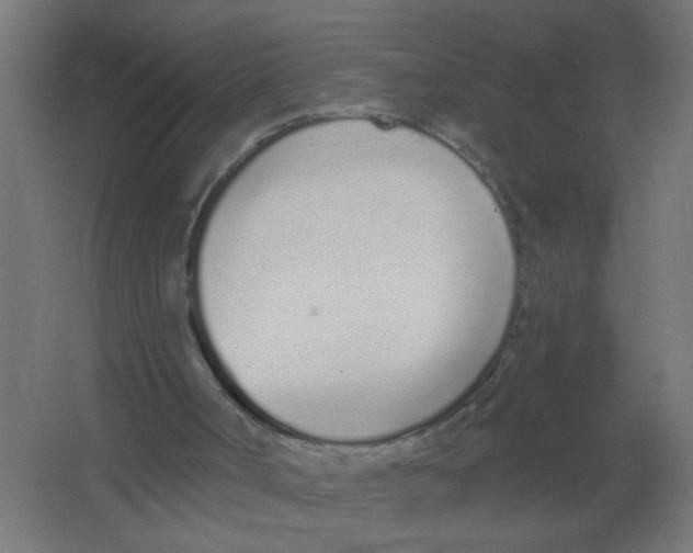 X0000067330002200604211922