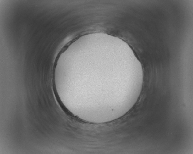 X0000067330003200604211922