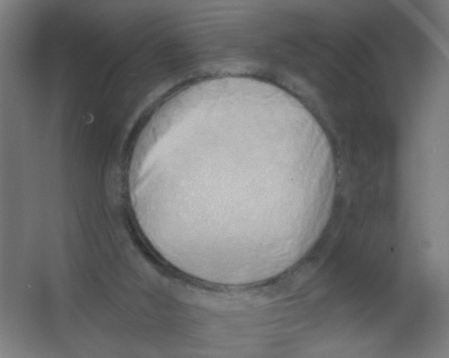 X0000067330012200604211921