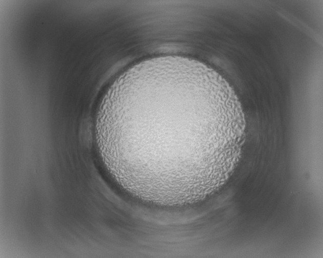 X0000067330016200604211921