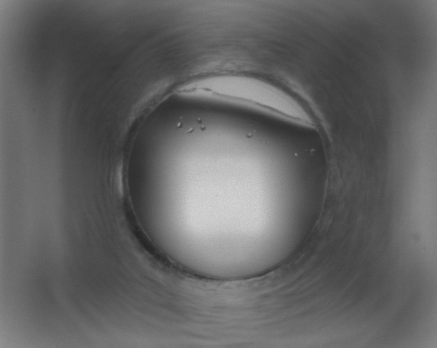 X0000067330019200604211921