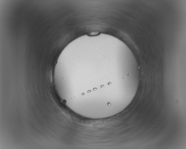 X0000067330021200604211921