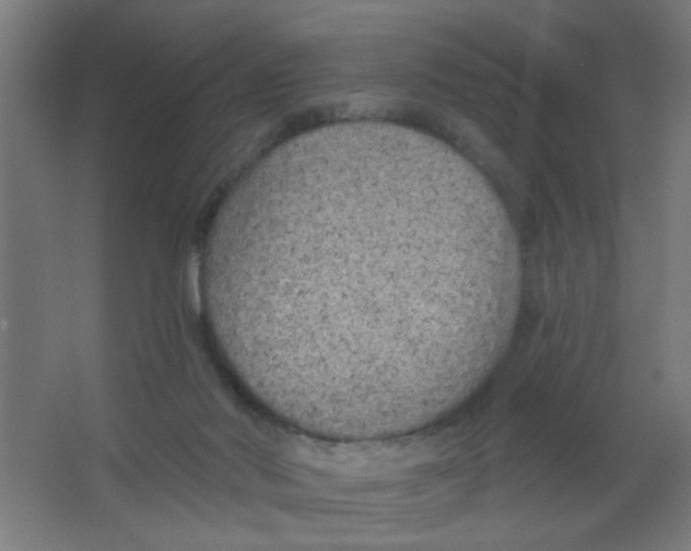 X0000067330022200604211921