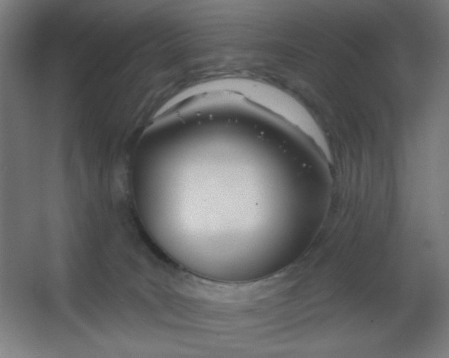 X0000067330035200604211921