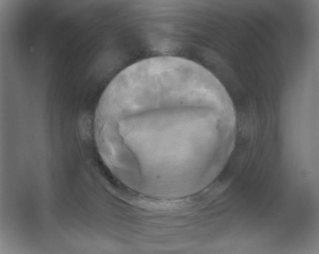 X0000067330036200604211921