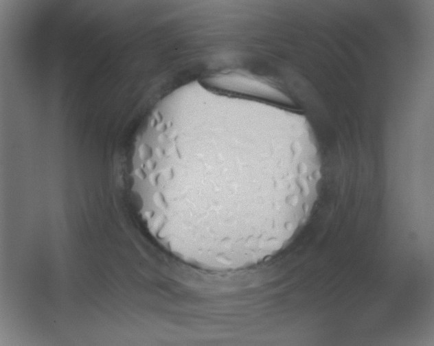 X0000067330038200604211921