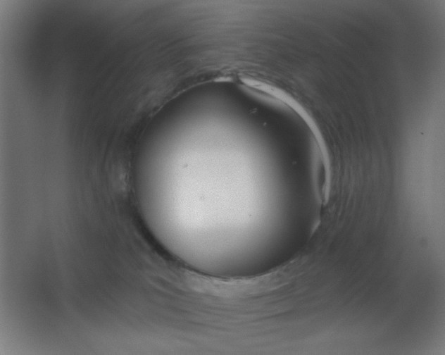X0000067330039200604211921