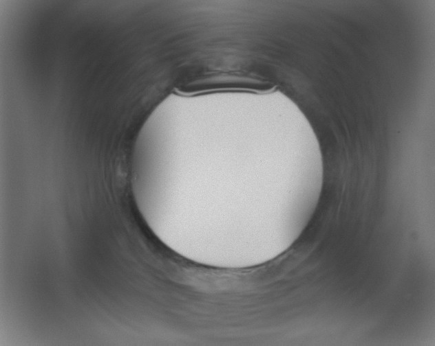 X0000067330040200604211921