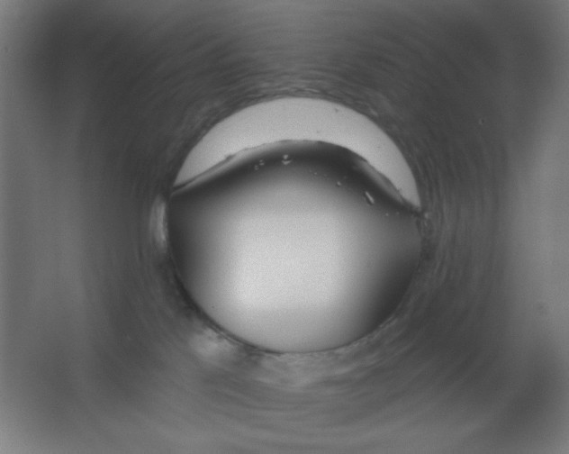 X0000067330041200604211921