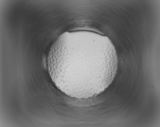 X0000067330042200604211921