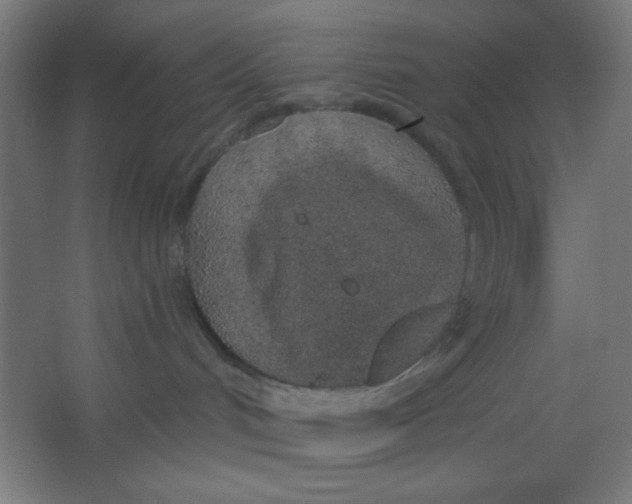 X0000067330048200604211921