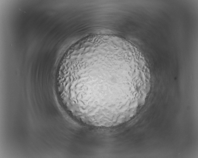 X0000067330049200604211920