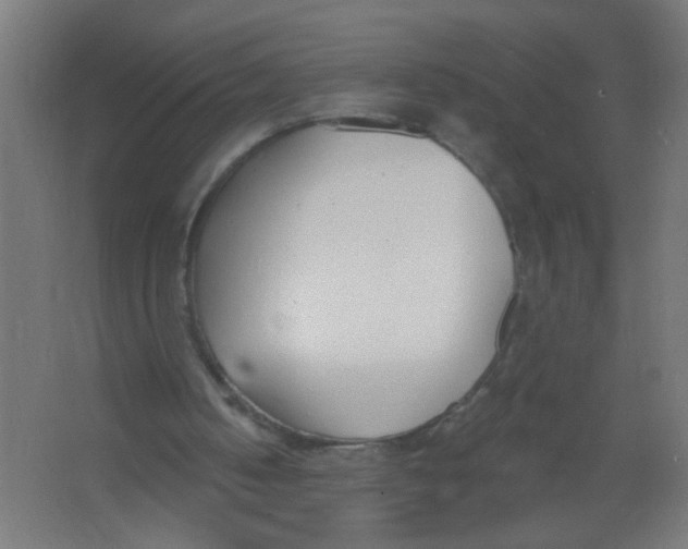 X0000067330050200604211920