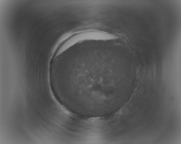 X0000067330054200604211920