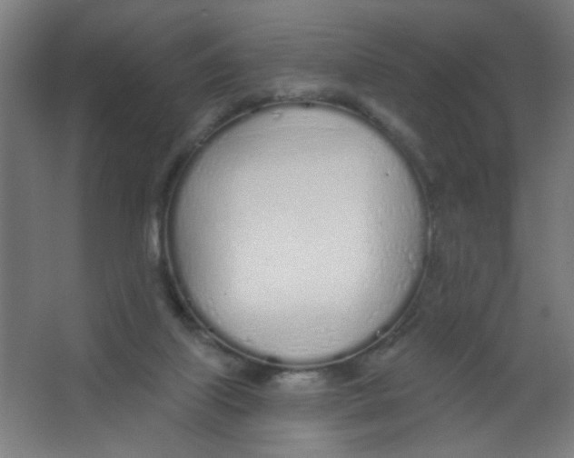 X0000067330067200604211920