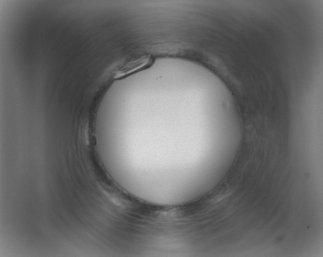 X0000067330068200604211920