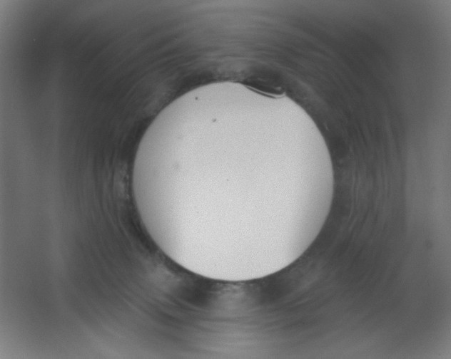 X0000067330083200604211921
