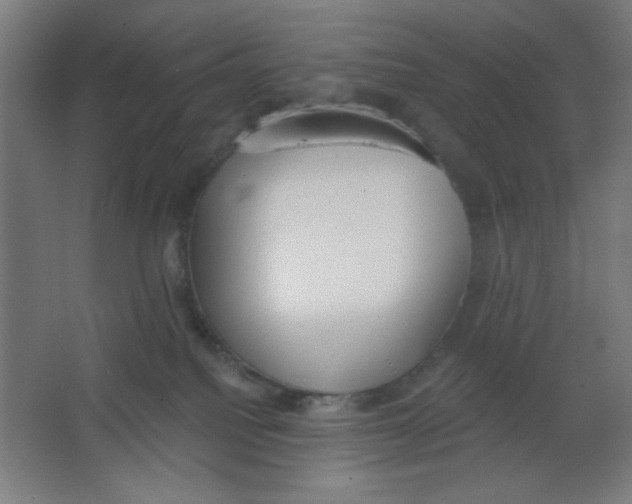 X0000067330088200604211921