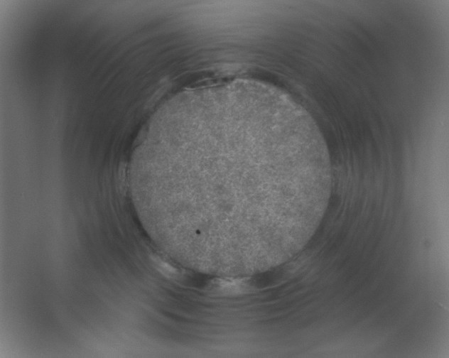 X0000067330093200604211921