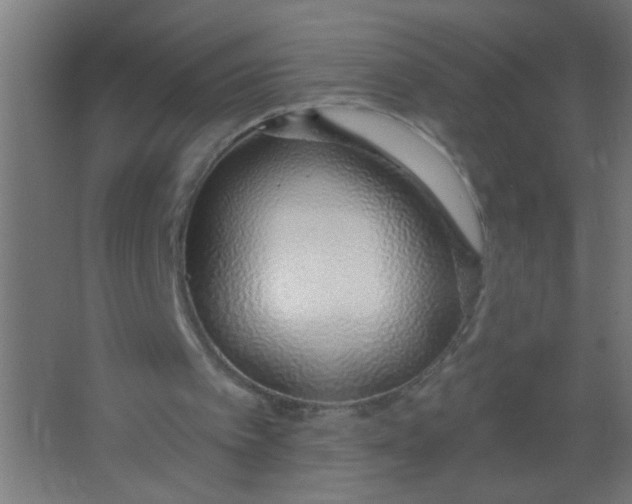 X0000067330097200604211920