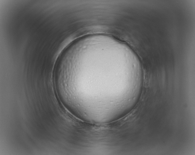 X0000067330099200604211920